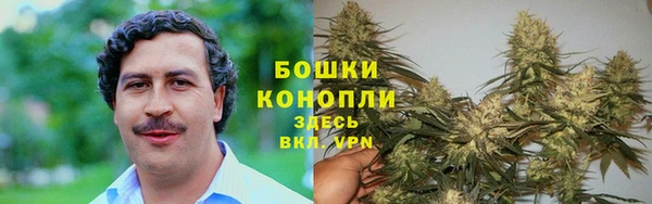 гидра Алексин