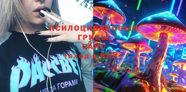 СК Абдулино