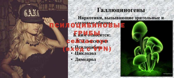 СК Абдулино