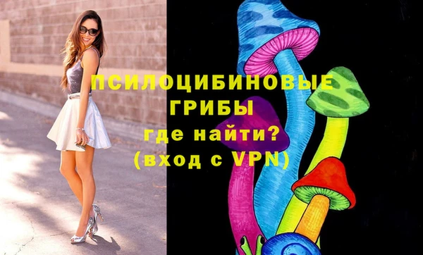 СК Абдулино
